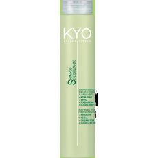 FreeLimix KYO Shampoo EnergySystem 250ml
