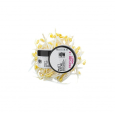 SELECTIVE PROFESSIONAL Matt Style Now Texture 100 ml