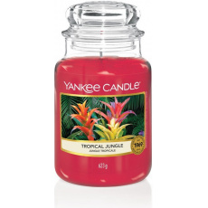 Yankee Candle Large Jar Tropical Jungle 623g