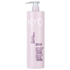 FreeLimix KYO Shampoo HydraSystem 1000ml