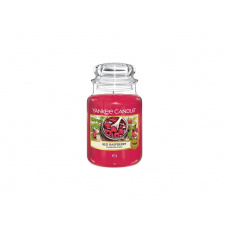 Yankee Candle Red Raspberry 623 g